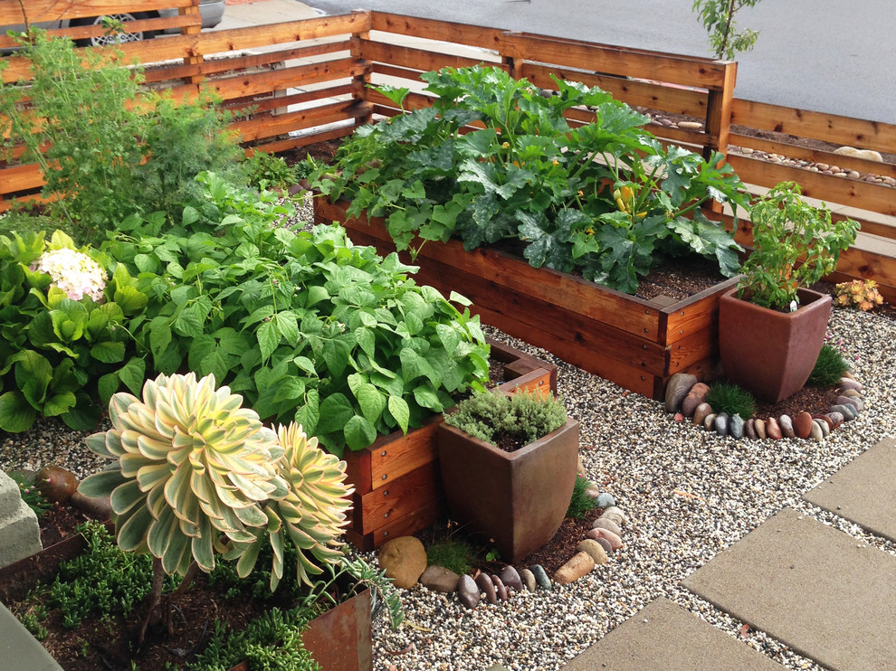 This is an example of a mid-sized traditional front yard full sun formal garden for summer in San Diego with a vegetable garden and gravel.