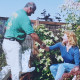 Ponds & Garden Building Group LTD
