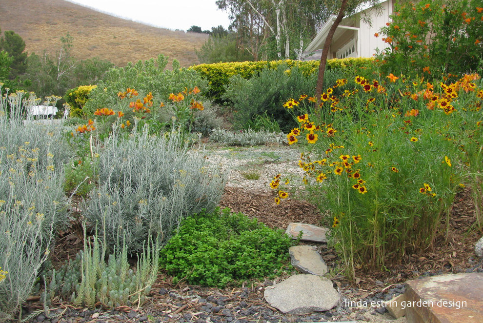This is an example of an australian native mediterranean garden in Los Angeles.