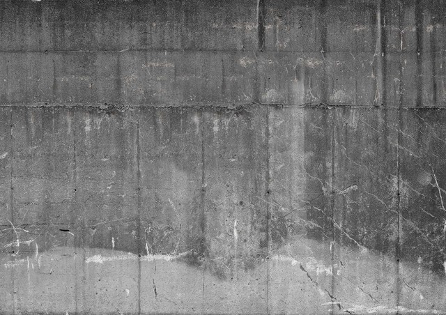 Concrete Wall No. 6 - Eclectic - Wallpaper - by Concrete Wall