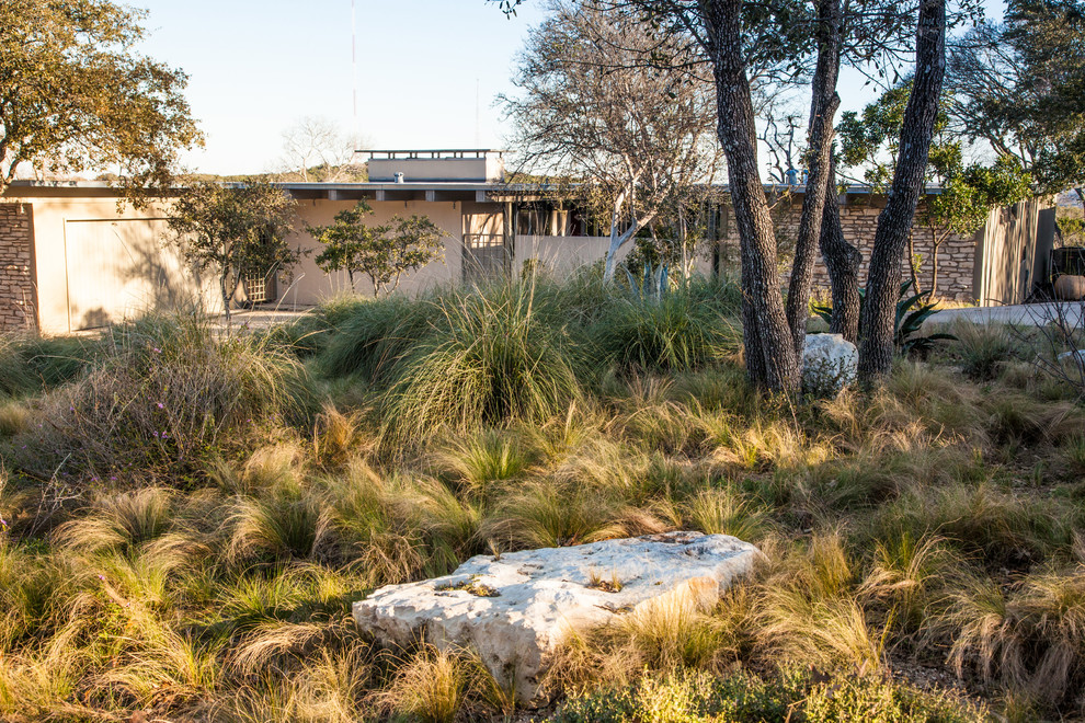 Photo of a midcentury front yard xeriscape in Austin.
