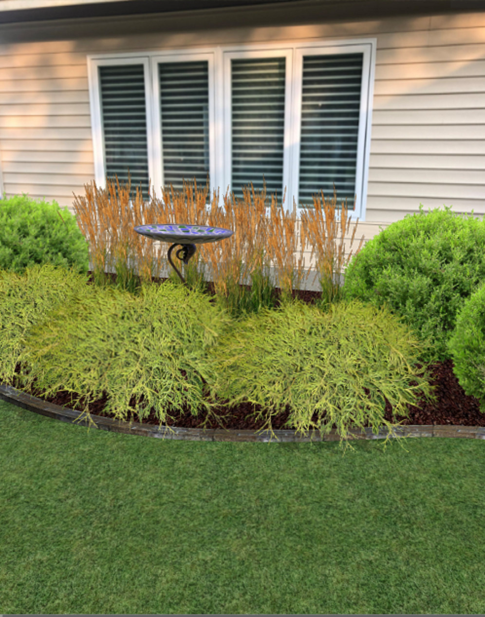 Foundation Plantings
