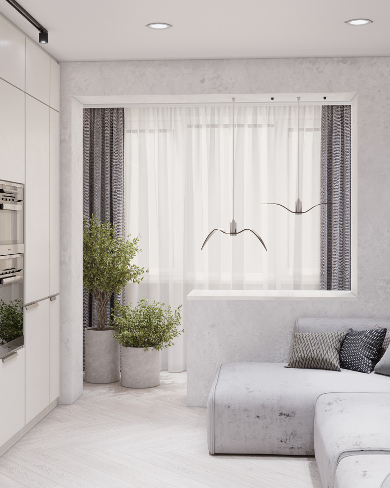 Кухня-гостиная 1