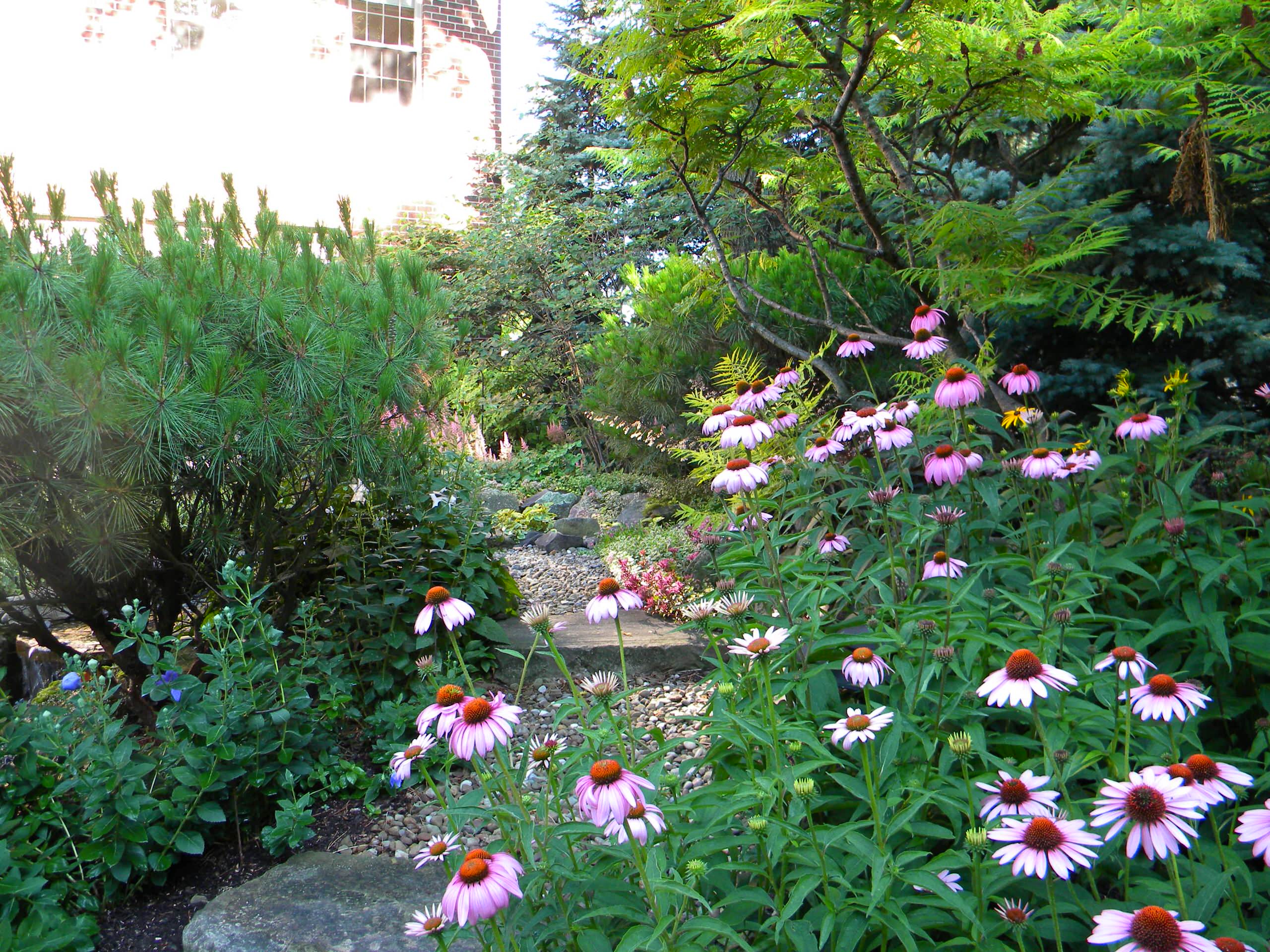 Pondless Waterfall and Stream