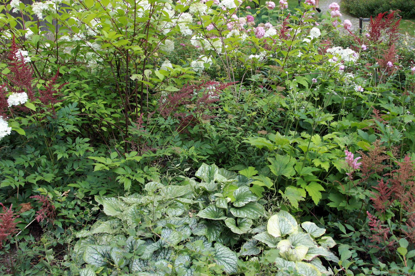 Теневой цветник