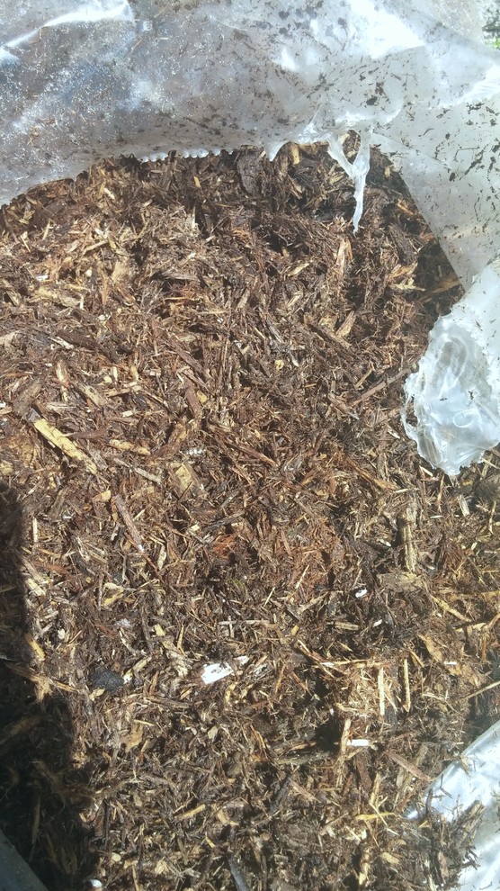 Old wet bag of mulch keep or toss?