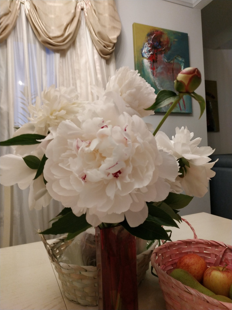 Воплощение мечты