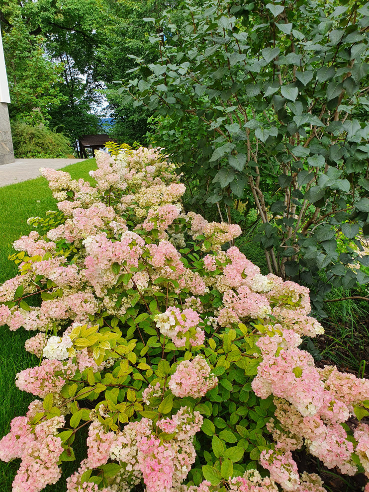 Частный сад