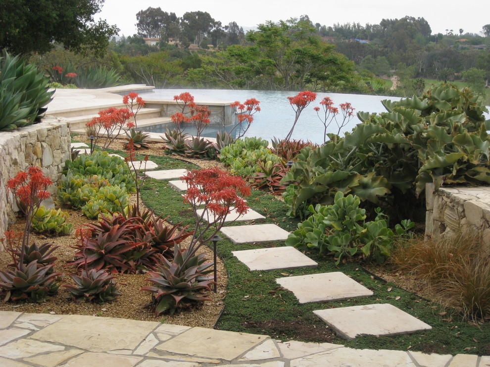 This is an example of a mediterranean backyard garden in San Diego.