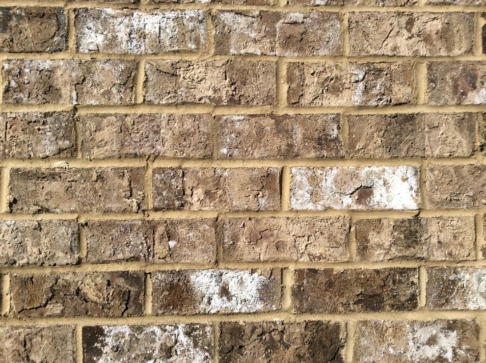 Mosstown Brick Birmingham by Acme Brick Birmingham Houzz