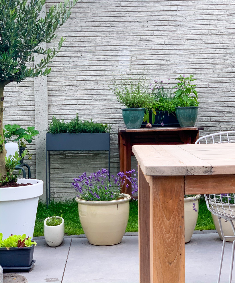 Immagine di un giardino design esposto in pieno sole dietro casa con pavimentazioni in cemento e recinzione in pietra