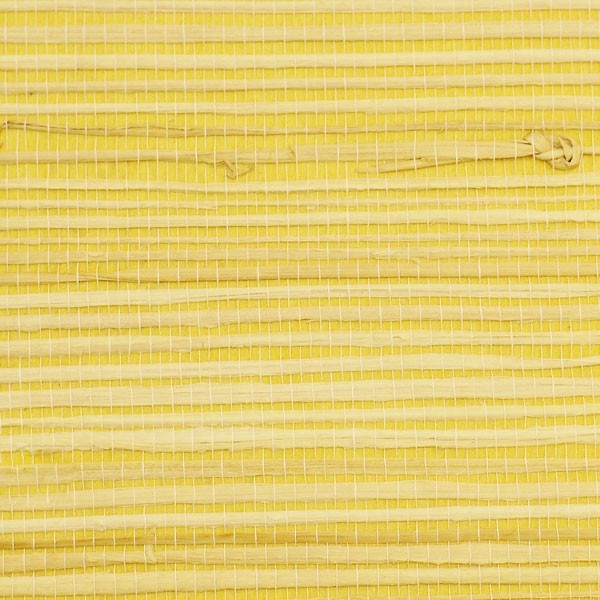 Rush Yellow Grass Cloth Wallpaper, Sample Beach Style Wallpaper