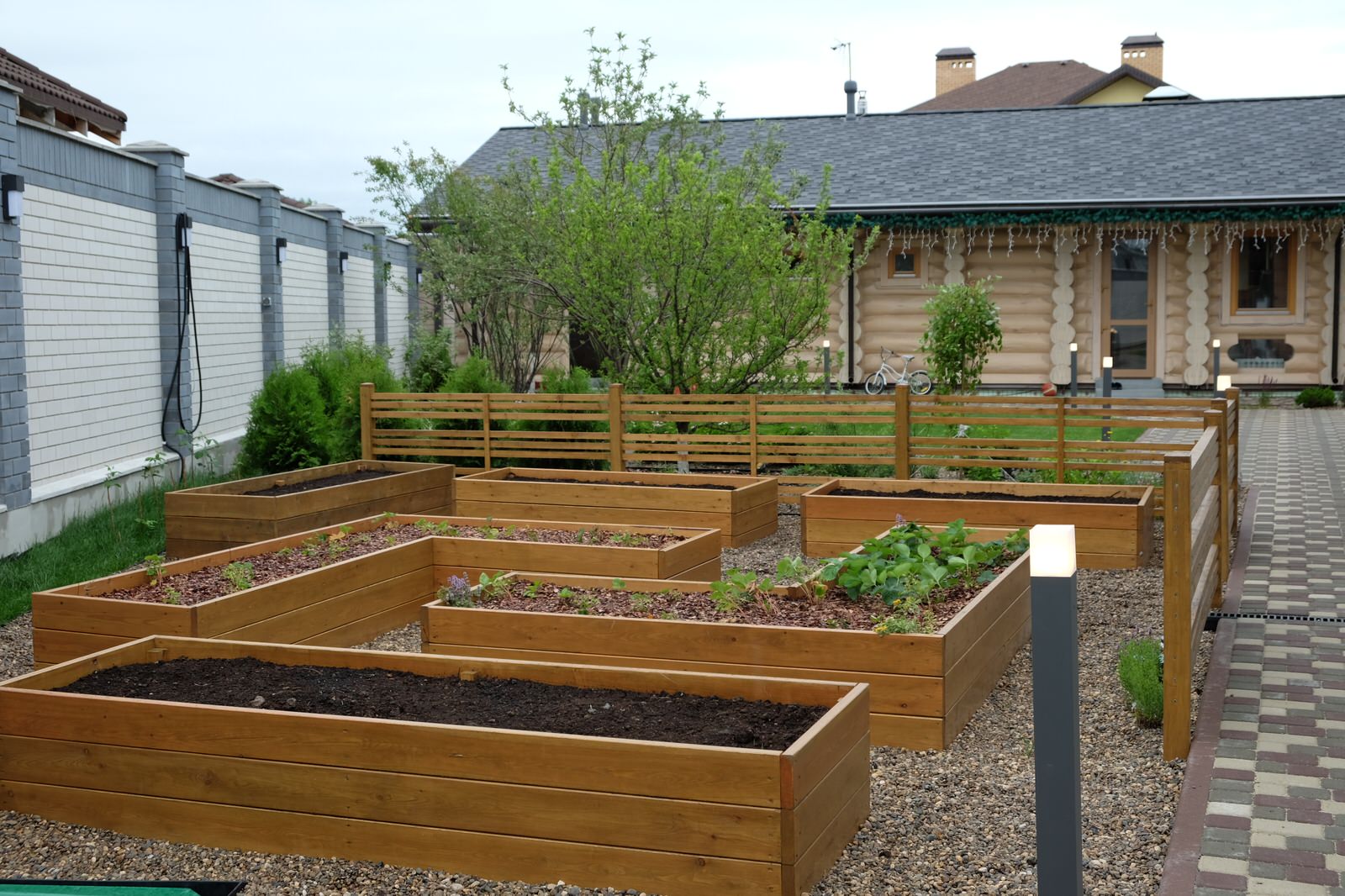 Современный сад