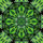 Last commented by That_One_Plant_Guy