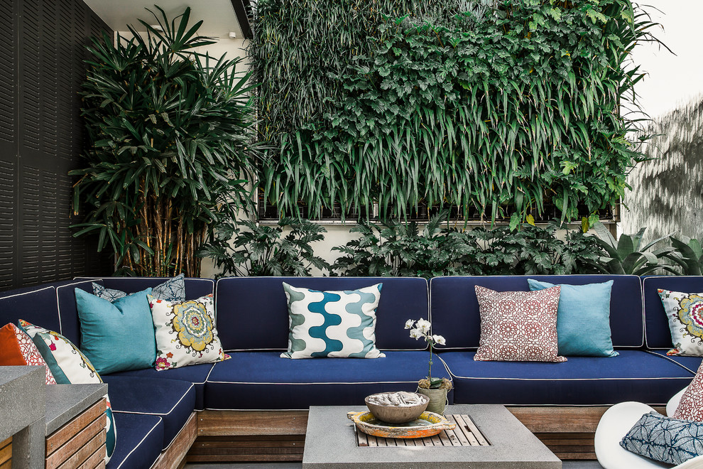 Photo of a large contemporary backyard patio in Sydney with concrete pavers.