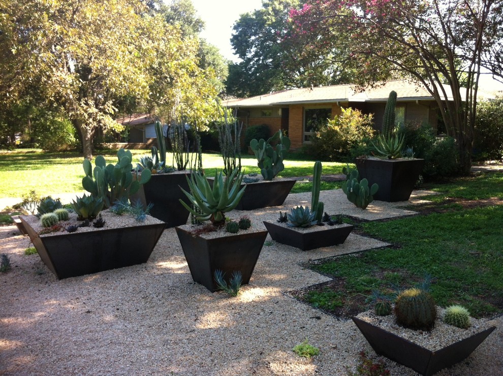 Photo of a front yard xeriscape in Austin with gravel and a garden path.