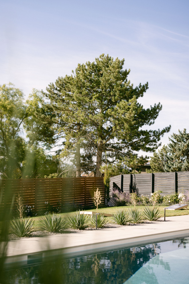 Foto di un giardino contemporaneo dietro casa con pavimentazioni in cemento e recinzione in legno