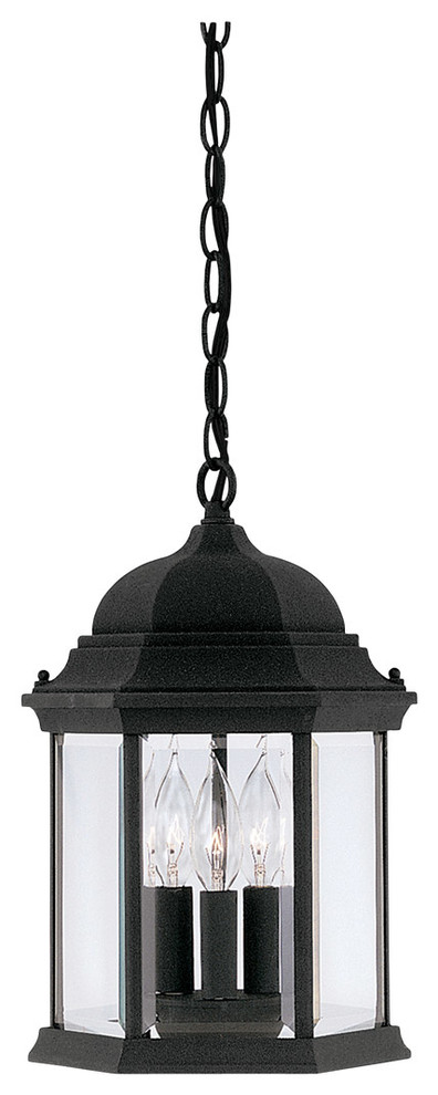 Devonshire 9" Hanging Lantern, Black
