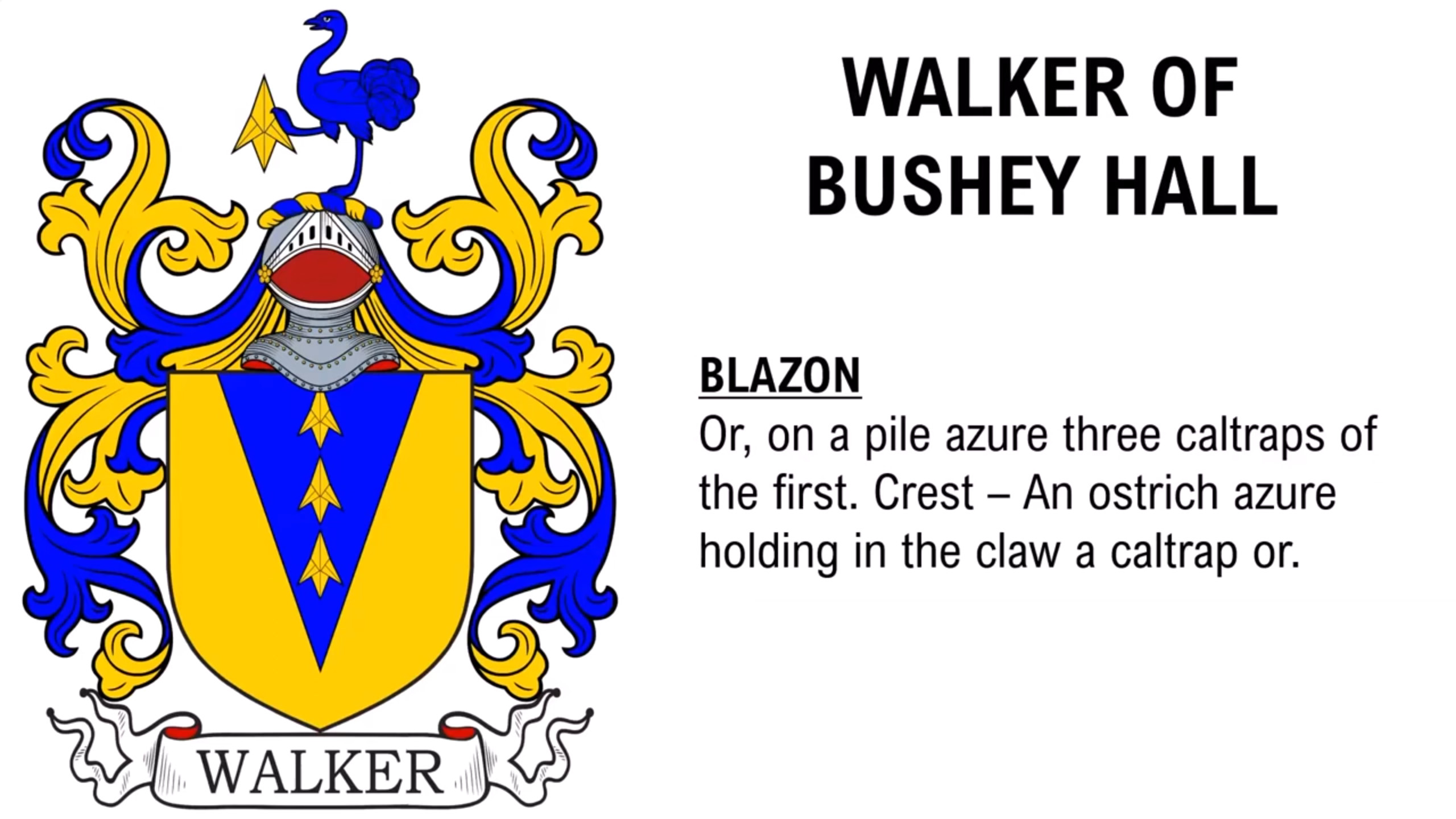 Coat of Arms - Walkers of Bushy Hall