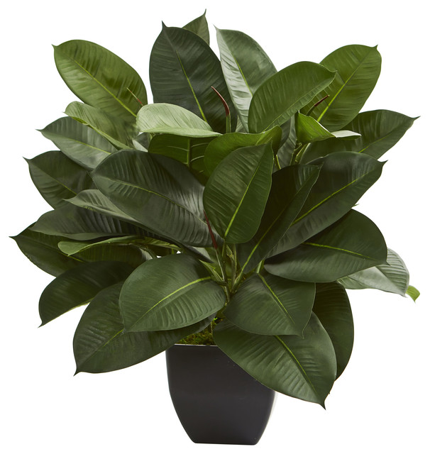 Oak Ficus Artificial Plant Contemporary Artificial Plants And Trees