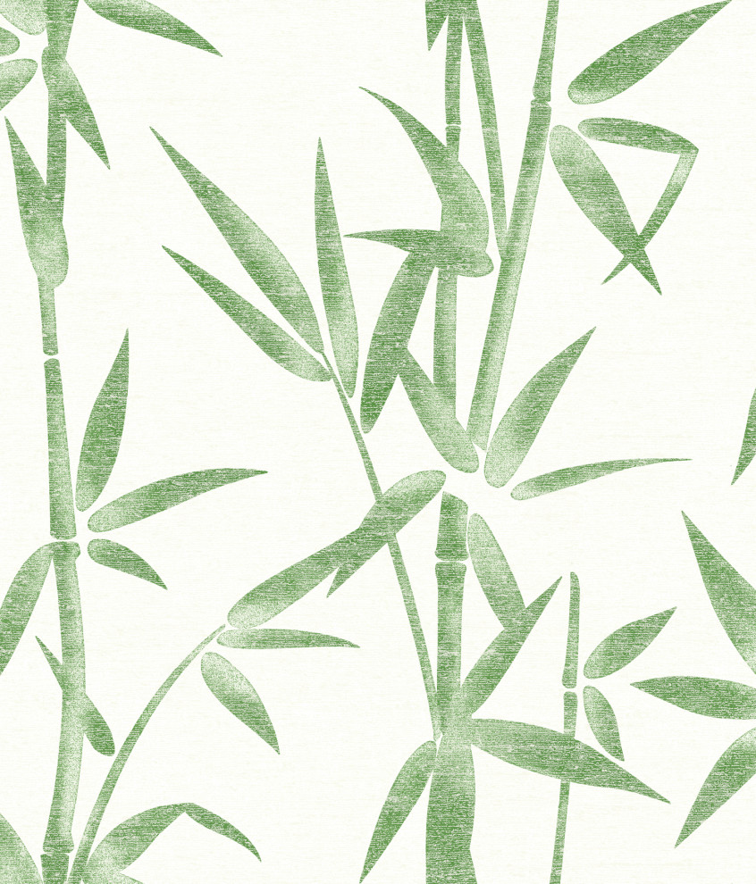 Catasetum Green Bamboo Wallpaper - Wallpaper - by Brewster Home Fashions |  Houzz