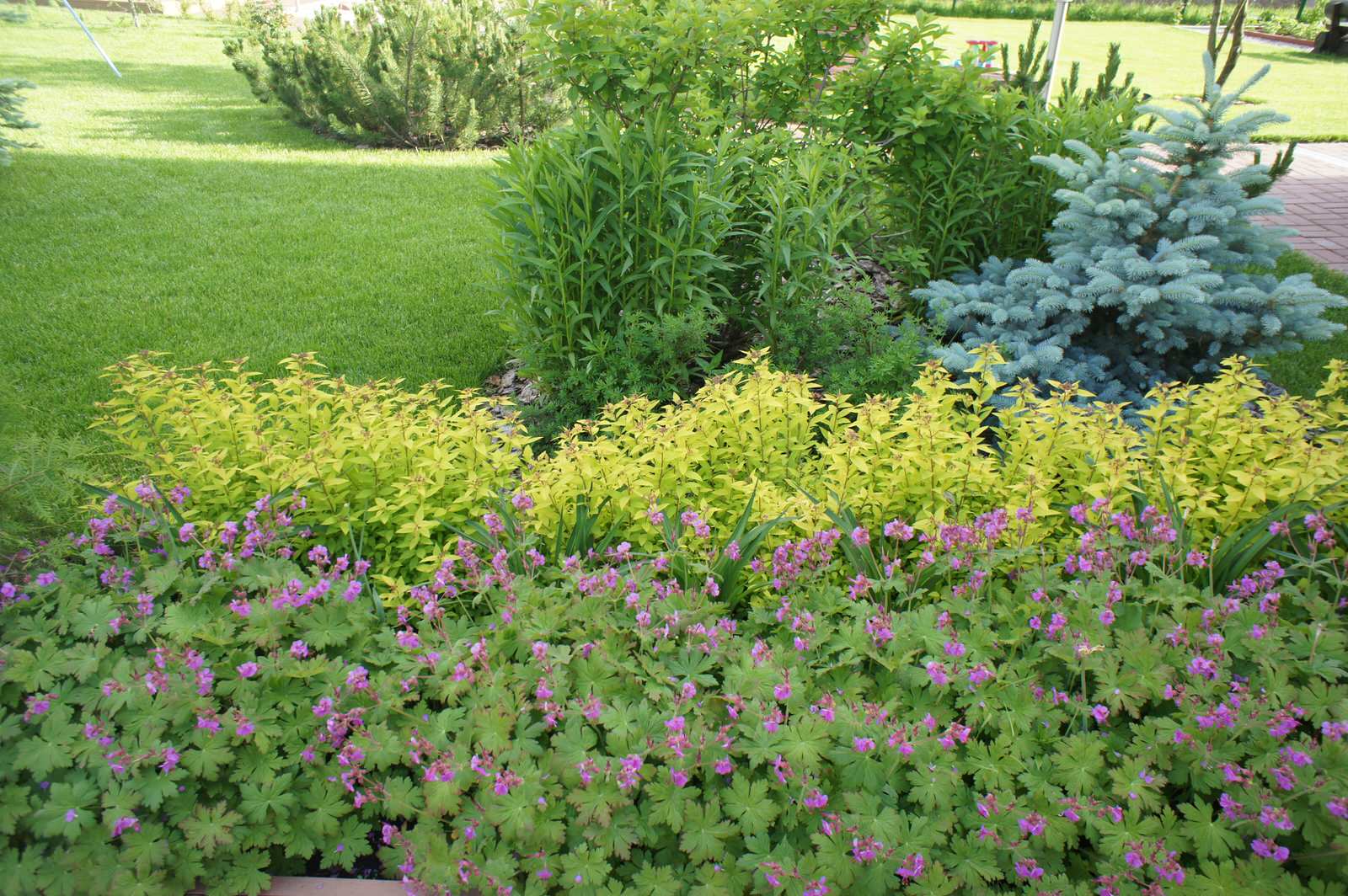 МОРЕСОЛНЦЕ