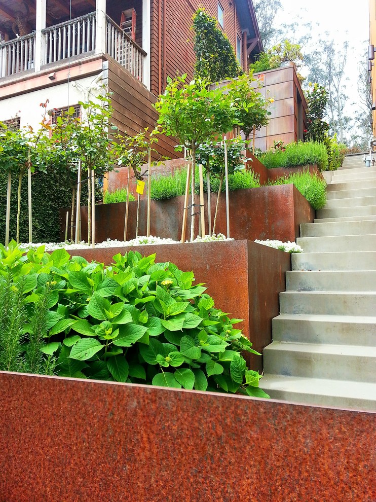 Photo of a small modern side yard partial sun garden for summer in San Francisco with a retaining wall.
