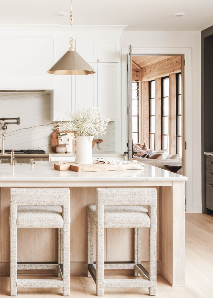 Kitchen - transitional kitchen idea
