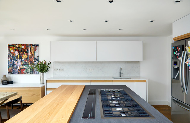 Side Return Extension trendy-koekken