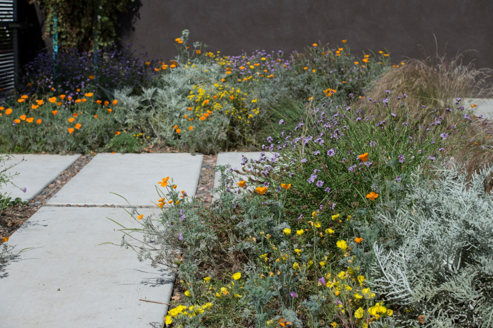 Inspiration for a small midcentury front yard full sun xeriscape for spring in Los Angeles with concrete pavers.