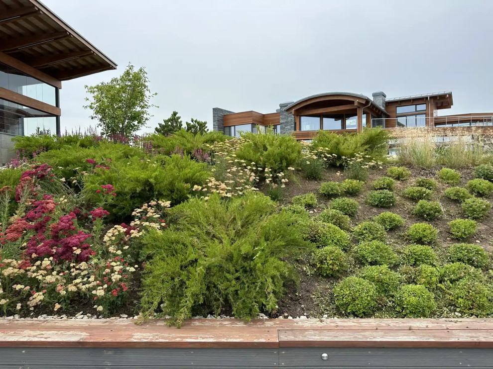 «НА ЗАПОВЕДНЫХ БЕРЕГАХ»