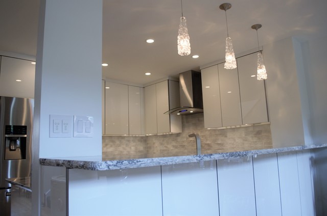 Condo in Lakeview modern