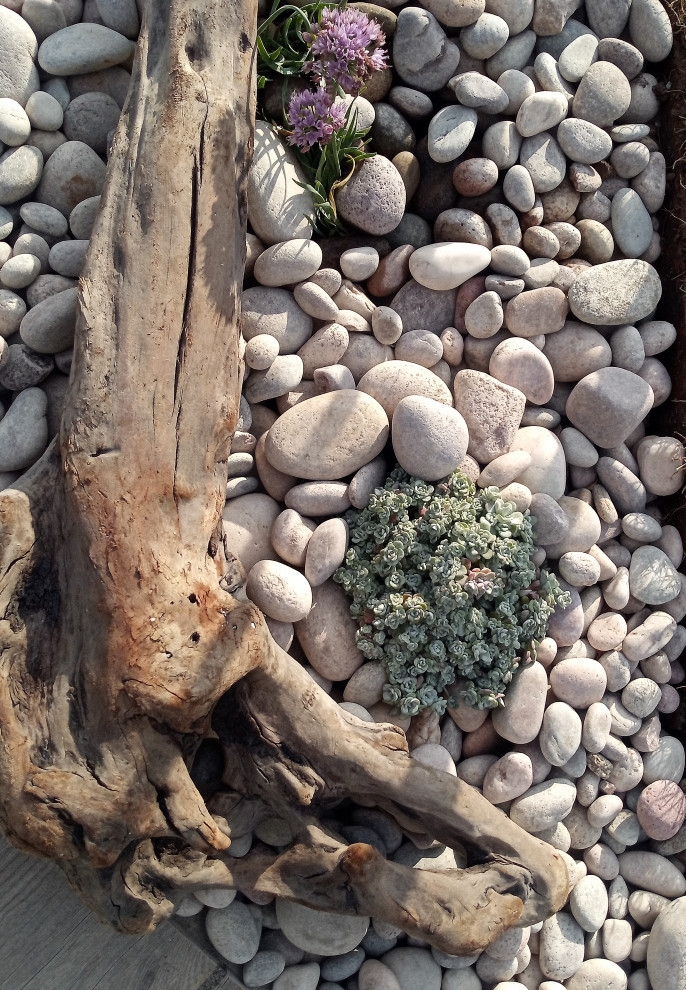 Design ideas for a small beach style back xeriscape full sun garden in Other with decorative stones.