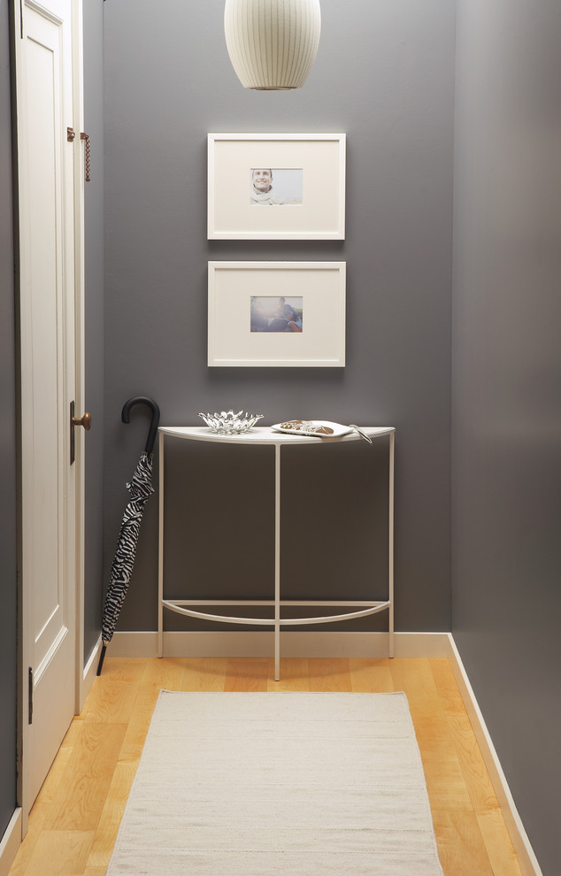 Inspiration for a transitional entryway remodel in Minneapolis