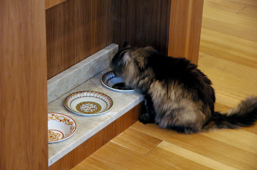 This pet-friendly feeding station features granite on both the counter and backsplash, helping to minimize damage from spills and daily messes.