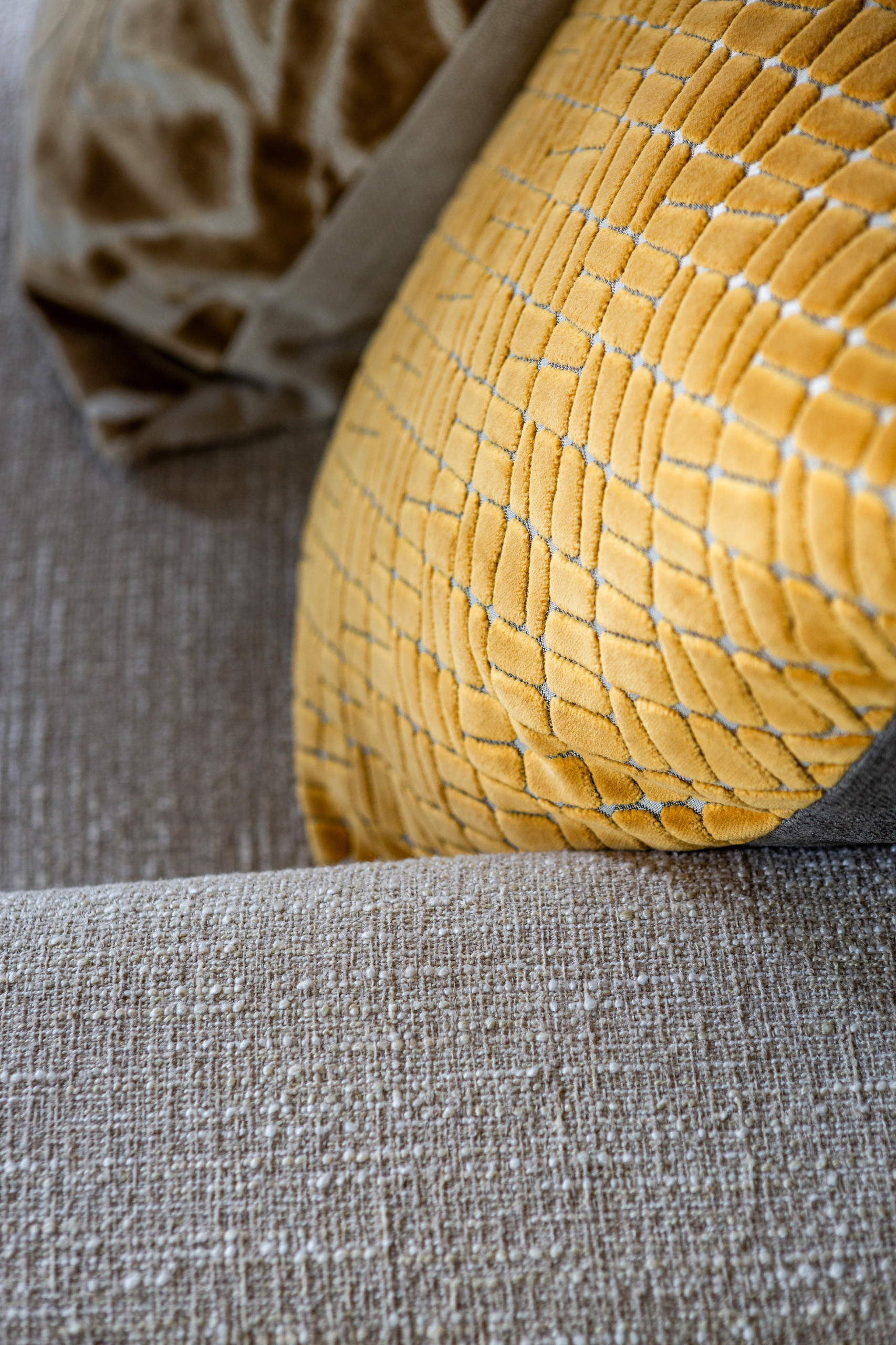 Color Forward Living