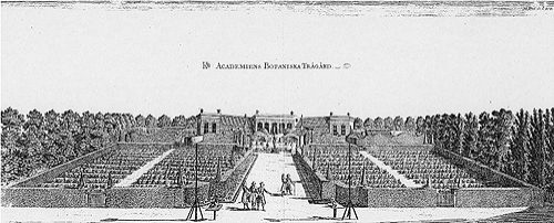 Linnaean Botanic Garden, Uppsala 1740s