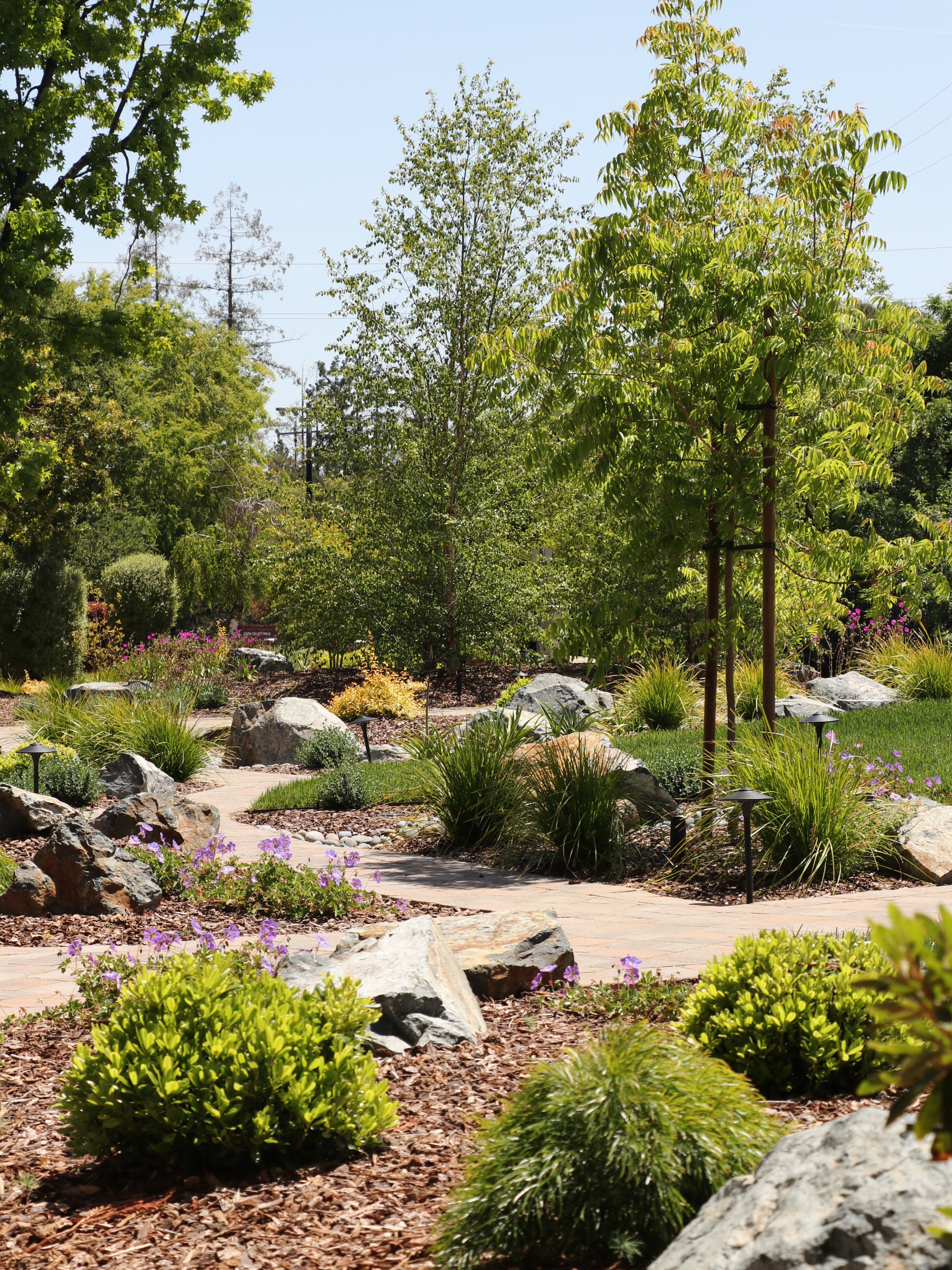 FRONT YARD WITH TREES AND DRY-CREEK