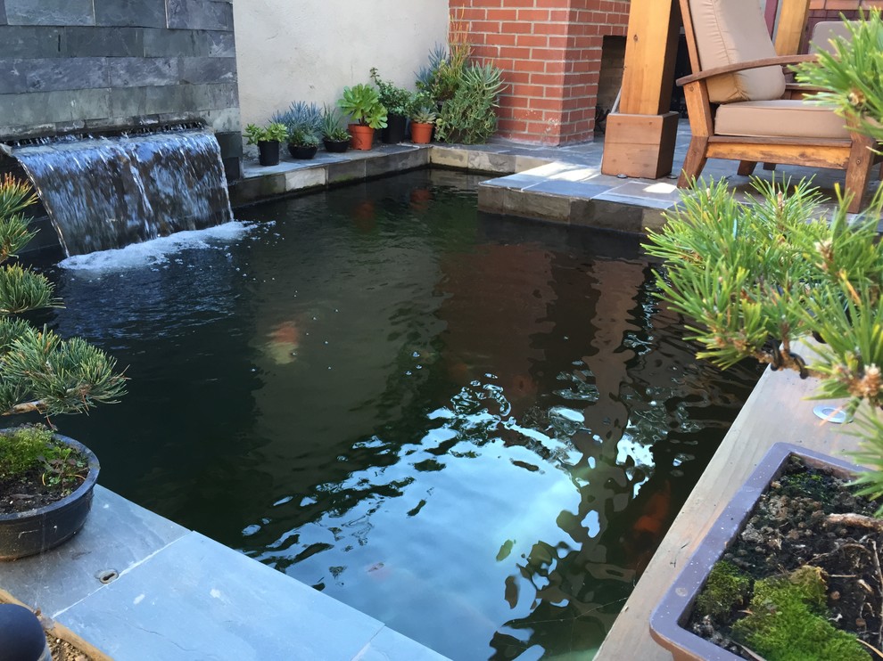Mid-sized asian backyard patio in Los Angeles with a water feature, tile and a pergola.