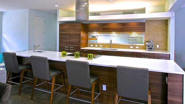 Austin Modern modern-kitchen
