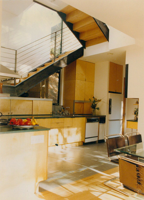 Small/Shapiro Residence contemporary-kitchen