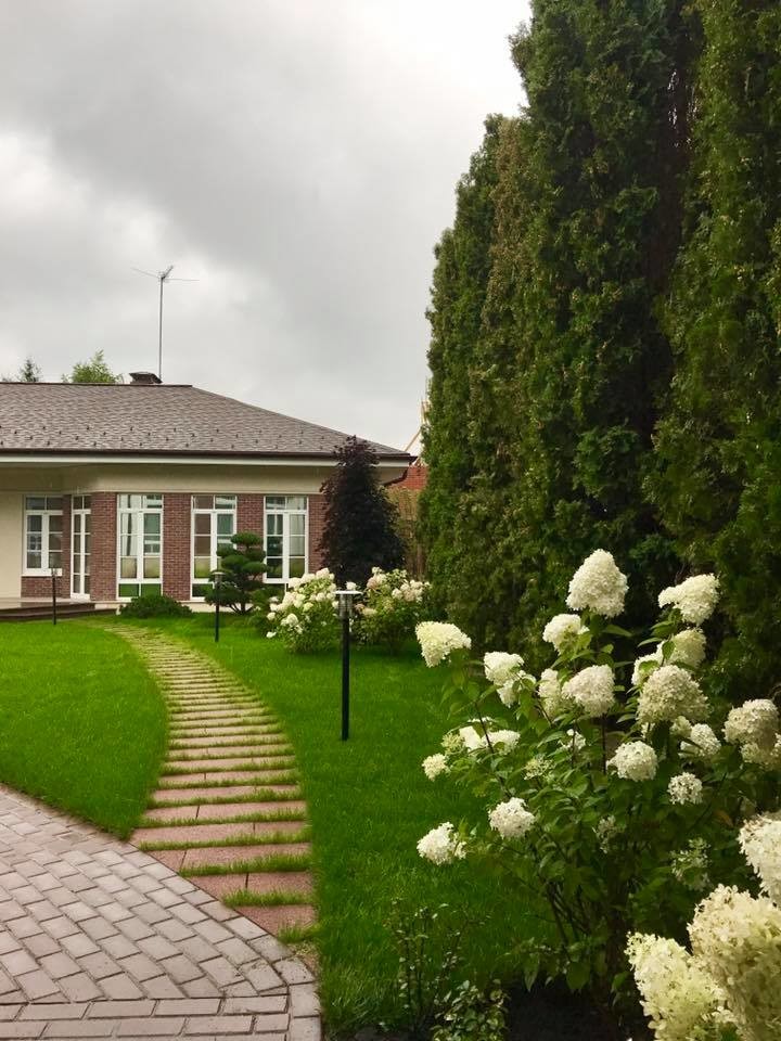 лесная рапсодия