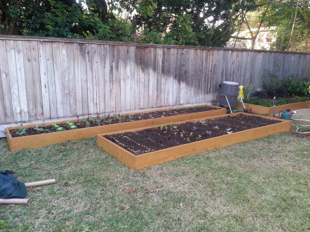 Boxed Vegetable Garden