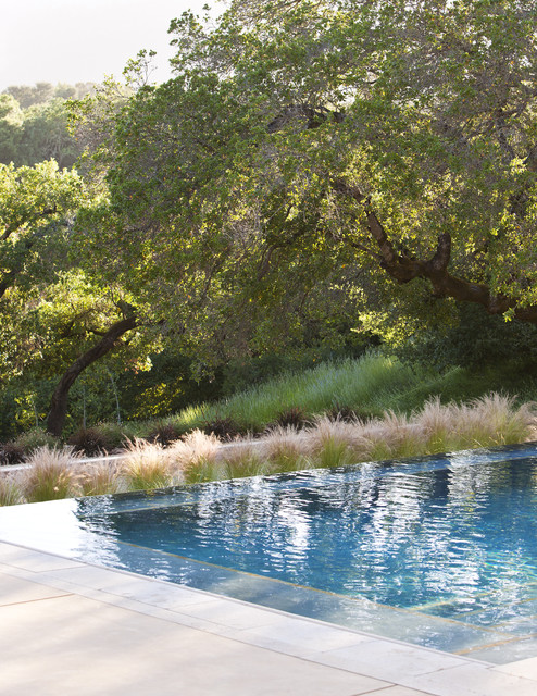 Vanishing Edge Pool modern-pools
