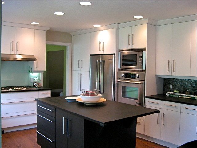 Modern Kitchens transitional-kitchen
