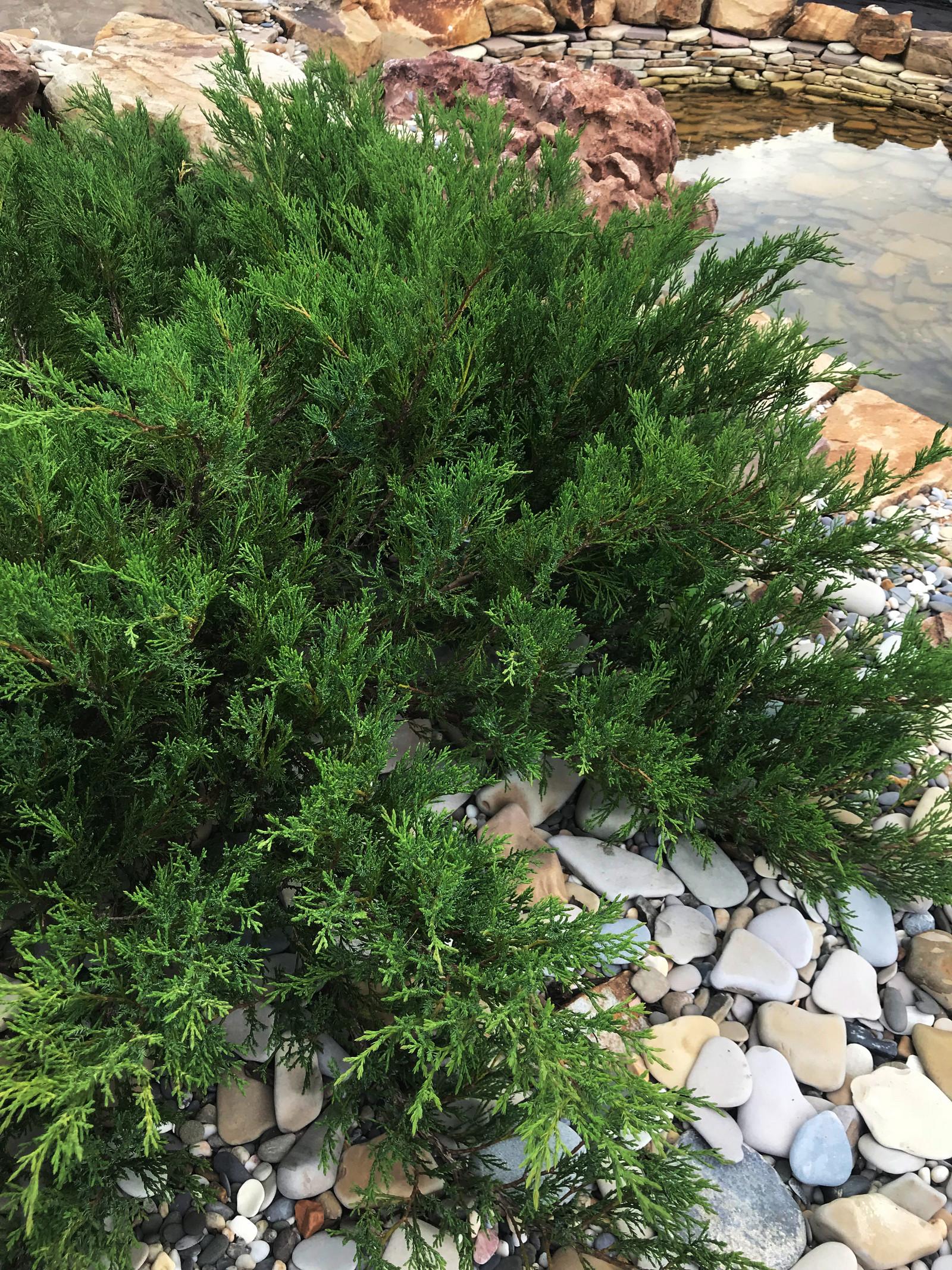 Покровское