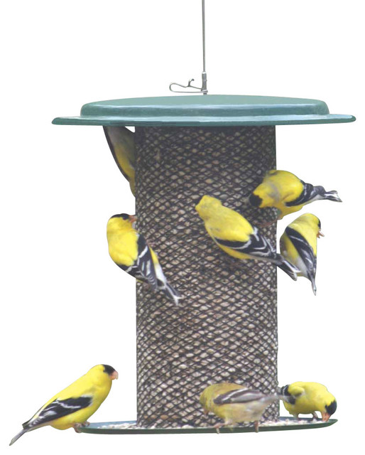 Green Safflower Feeder Contemporary Bird Feeders By Birds