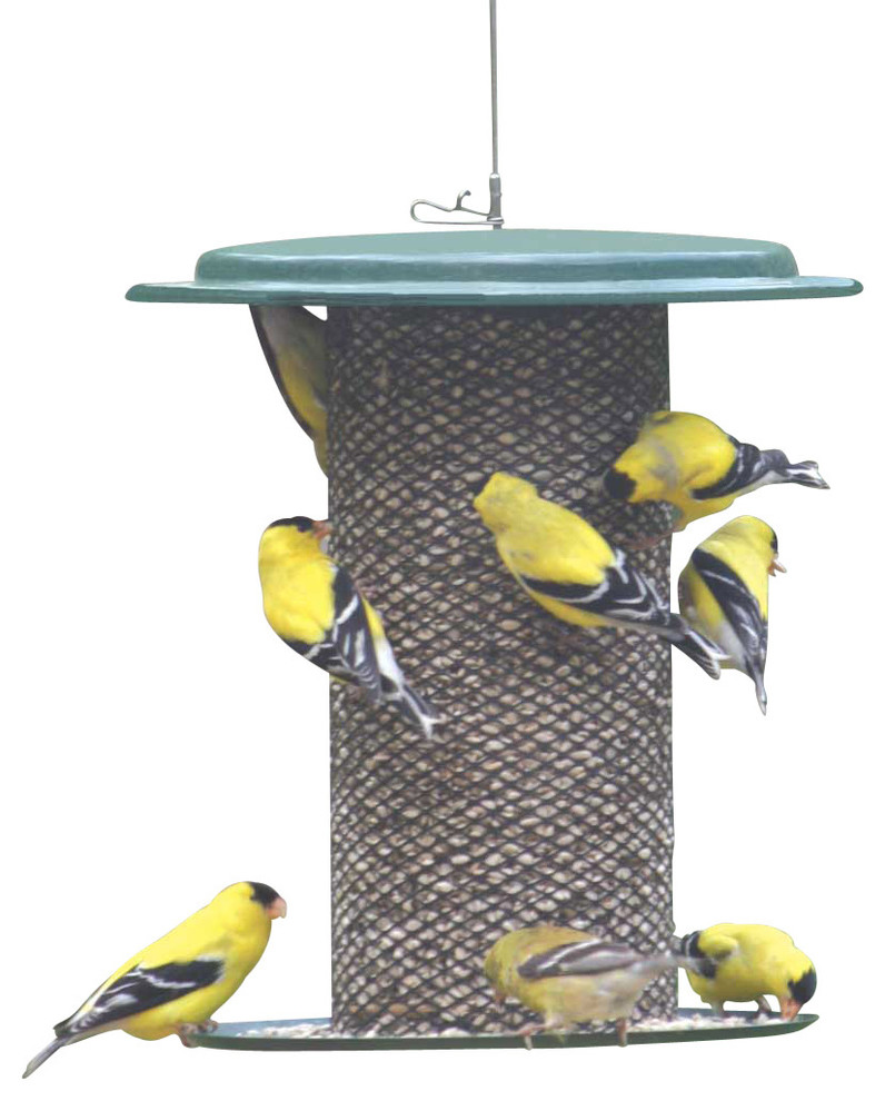 Green Safflower Feeder Contemporary Bird Feeders by Birds Choice