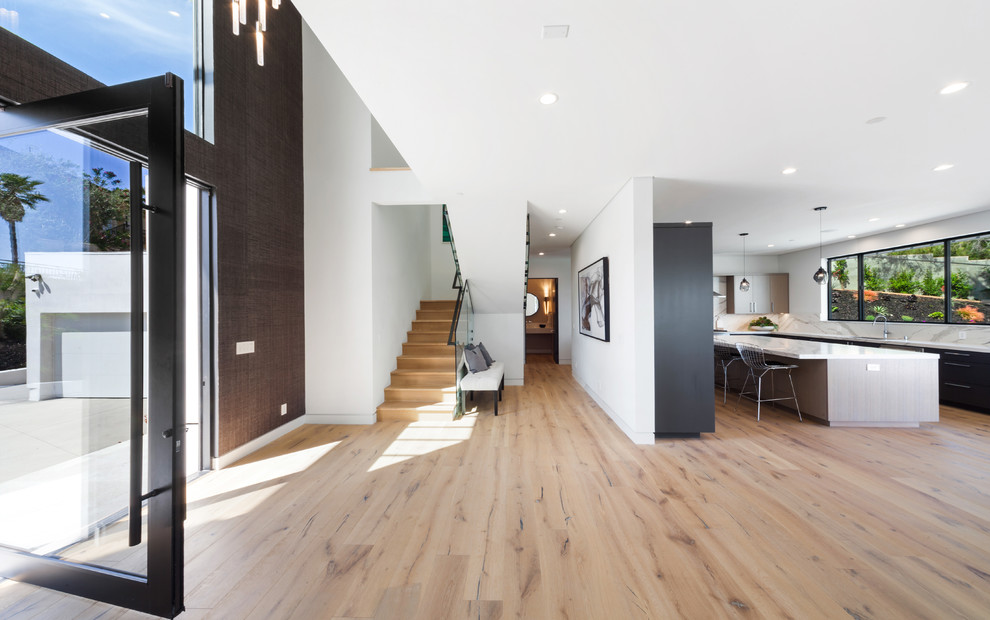 Large contemporary foyer in Los Angeles with a pivot front door, a glass front door, white walls and light hardwood floors.