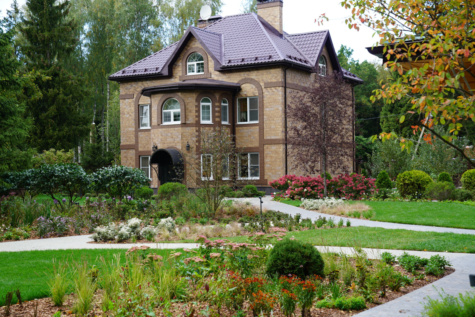 Круговорот  цвета. Дубровка 2021